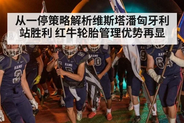 从一停策略解析维斯塔潘匈牙利站胜利 红牛轮胎管理优势再显